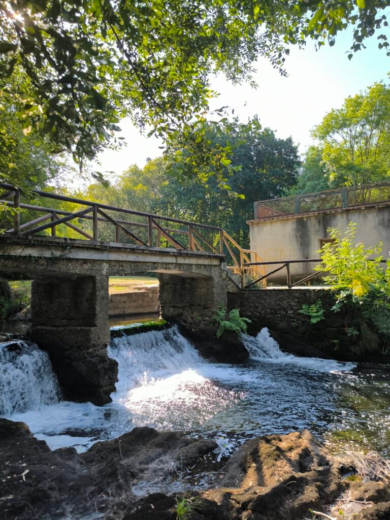 Zona de merenderos del Camping de Pedroso en la ruta circular