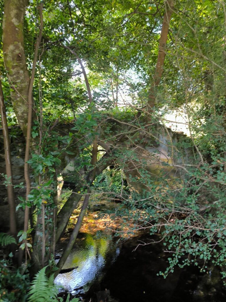 Ruta circular senderismo en Narón, Ferrolterra