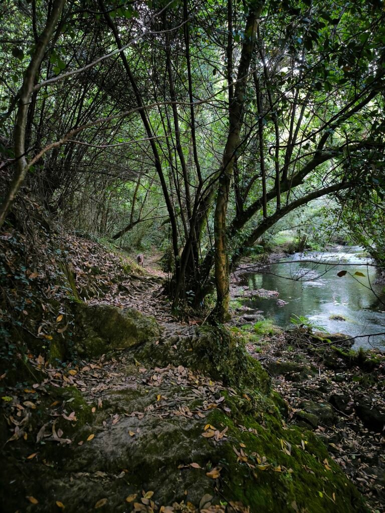 Ruta circular senderismo en Narón, Ferrolterra