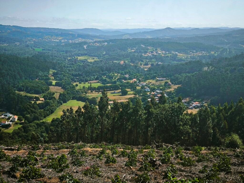 Vistas desde el Mirador de Ancos hacia Narón, Ferrol y el Golfo Ártabro