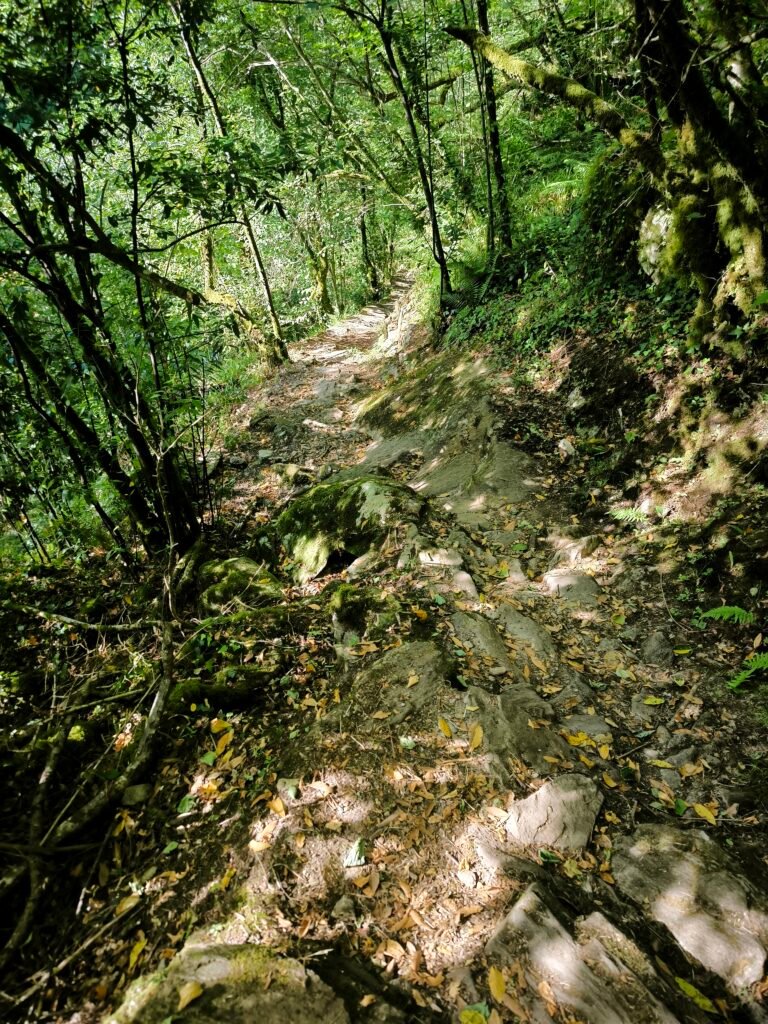 Ruta Camino da Ventureira en Fragas do Eume durante el verano