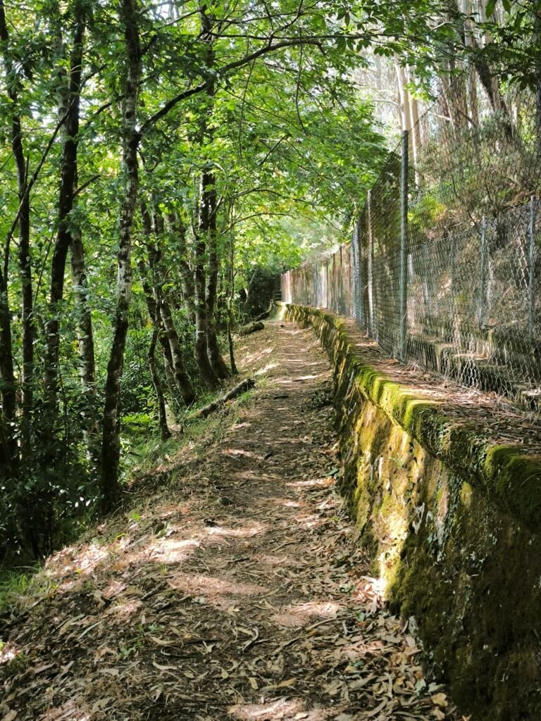 Camino sobre el canal del Belelle tras subir la fervenza