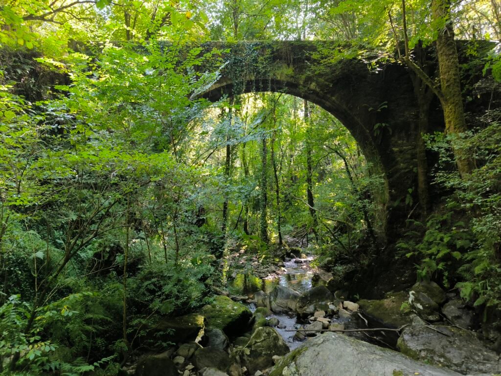 Molino de Sesín, rodeado de bosque y agua, punto clave en la ruta Ventureira