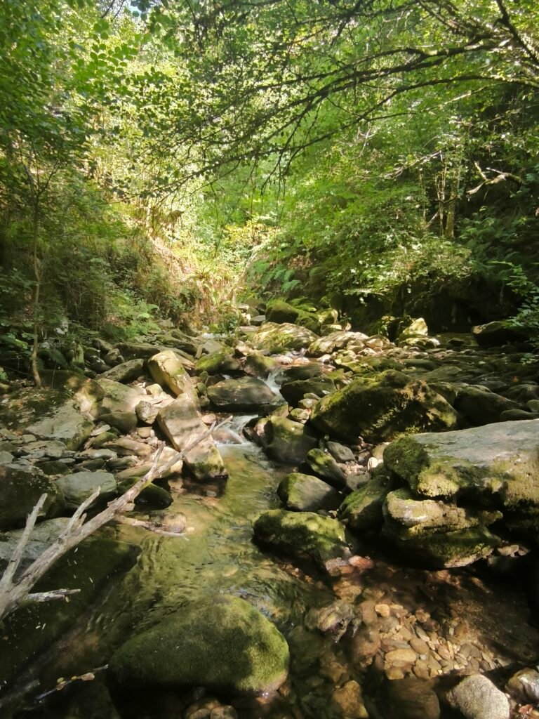 Molino de Sesín, rodeado de bosque y agua, punto clave en la ruta Ventureira