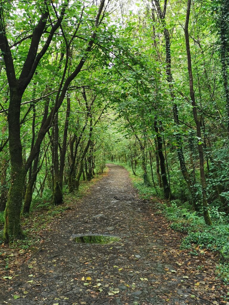 Ruta Camino da Ventureira en Fragas do Eume durante el otoño precioso