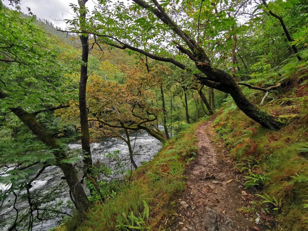 Ruta Camino da Ventureira en Fragas do Eume durante el otoño precioso